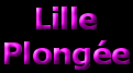 Magasin Lille Plonge
